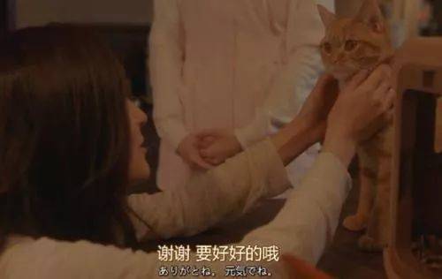 抖音呈現(xiàn)的到底是個(gè)什么世界？ 