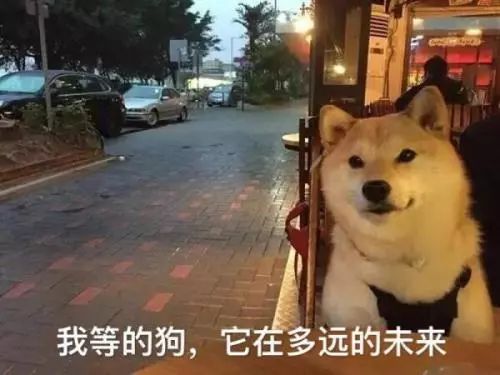 鄭州青年單身率67.57%，全國單身人口已超2億：你為什么單身？ 