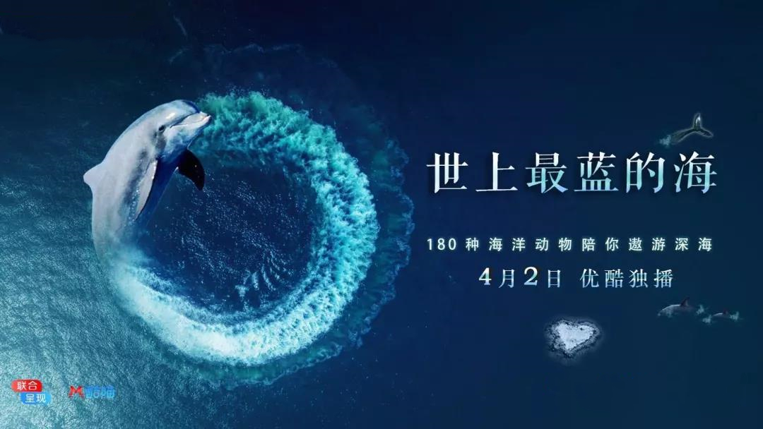 大堡礁5至25年內(nèi)將消失！未來(lái)，我們可能再也見(jiàn)不到了 | 正在消失的世界記憶 