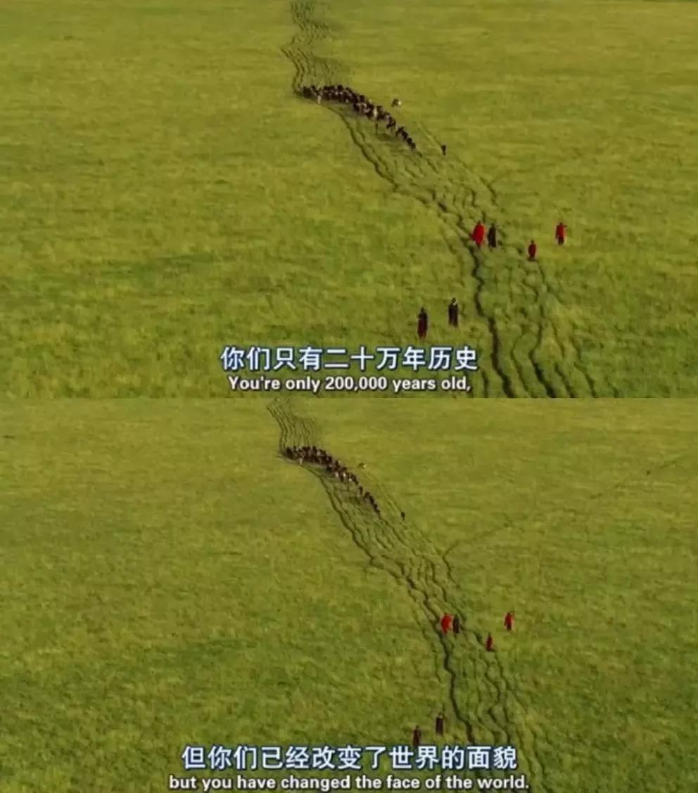 大堡礁5至25年內(nèi)將消失！未來(lái)，我們可能再也見(jiàn)不到了 | 正在消失的世界記憶 