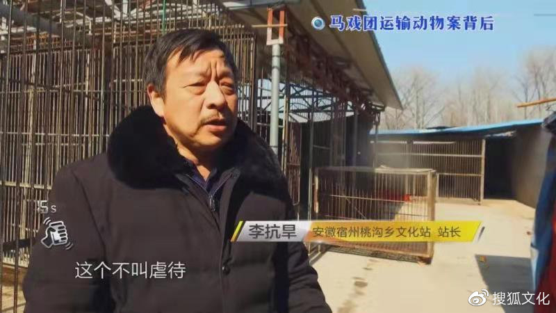 幼虎出逃死了，從業(yè)者慌了：保護與表演矛盾愈發(fā)突出，何去何從？ 