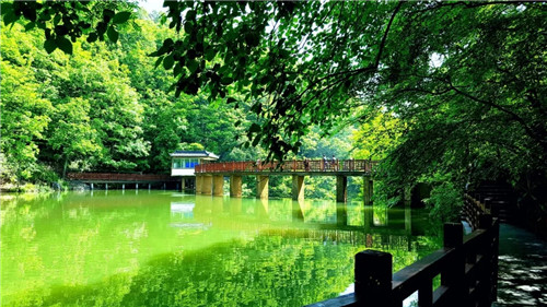 降溫后去哪里玩兒？嵩縣這幾個(gè)地方將驚艷全國(guó)