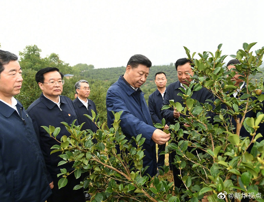 習近平：路子找到了，就要大膽去做