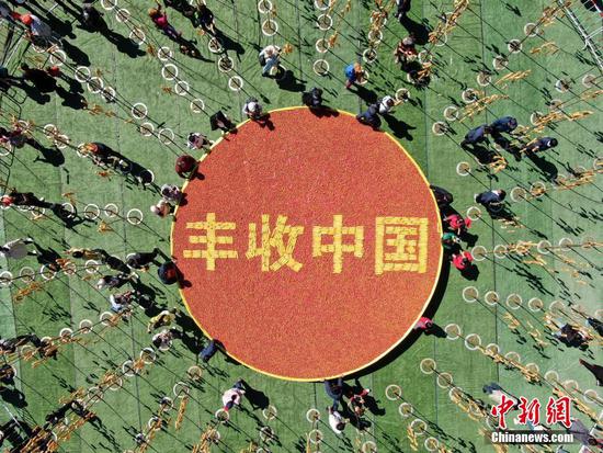 竹竿上“長”油條，洛陽民眾“摘”油條慶豐收