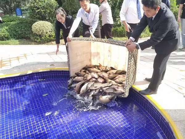 “繽紛夏日，魚樂無限”碧桂園清月灣業(yè)主活動圓滿結(jié)束！