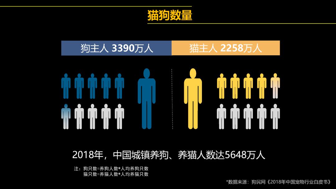 中國首只克隆貓回家了，你會花 38 萬跟去世的寵物再續(xù)前緣嗎？