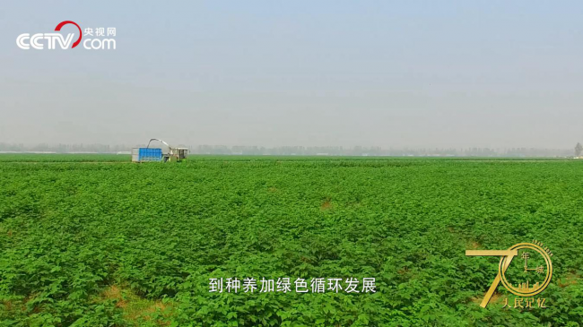 人民記憶·70年70城|記住開(kāi)封蘭考，焦裕祿精神的發(fā)源地
