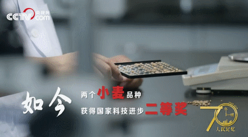 記住蘭考！央視網(wǎng)全景再現(xiàn)蘭考，聽聽親歷者的心聲