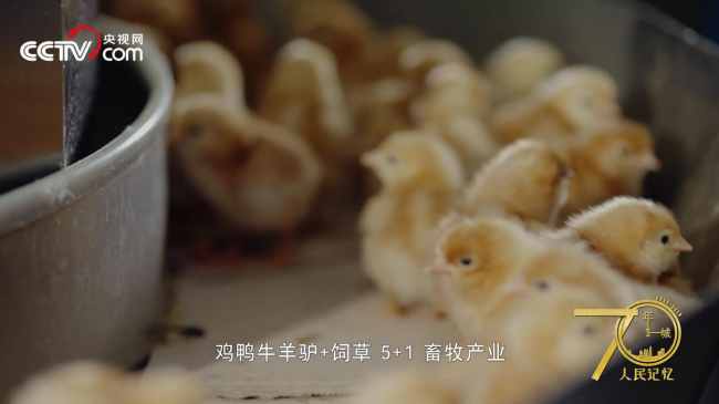 人民記憶·70年70城|記住開(kāi)封蘭考，焦裕祿精神的發(fā)源地