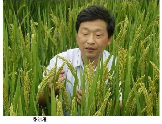 我們有多少位知青出身的兩院院士？ 