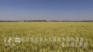 【視頻】一天24小時，駐馬店在發(fā)生什么？
