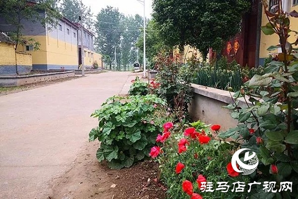 上蔡百尺鄉(xiāng)：頻頻出實(shí)招，村村顏值高