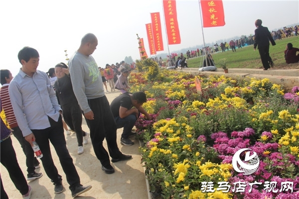 新蔡縣關津鄉(xiāng)首屆菊花節(jié)開幕