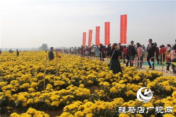 新蔡縣關津鄉(xiāng)首屆菊花節(jié)開幕