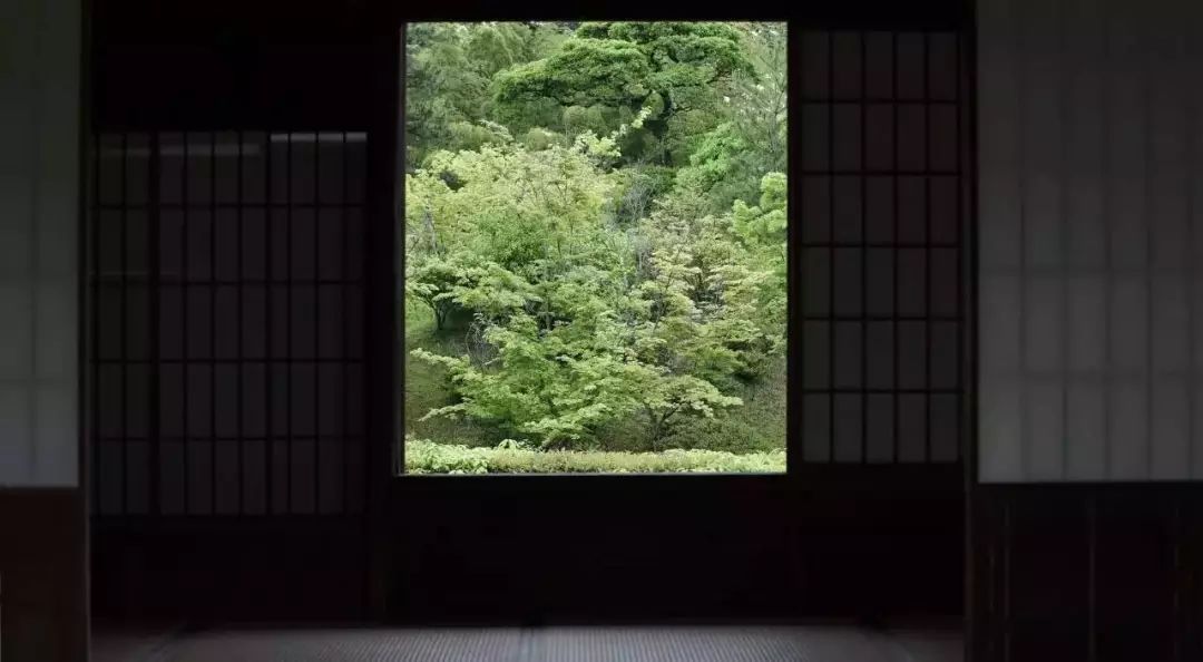 真正的審美是與美保持距離，而不是占有