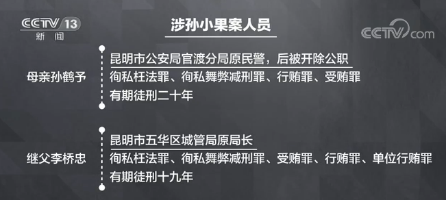 新聞1＋1丨一個(gè)“孫小果”，一群“保護(hù)傘”！-中新網(wǎng)