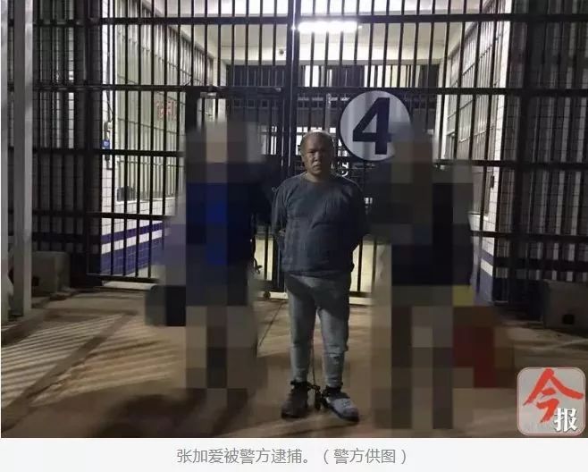 年底陸續(xù)領(lǐng)死刑的“黑老大”：多人身背命案、背后有“保護(hù)傘”