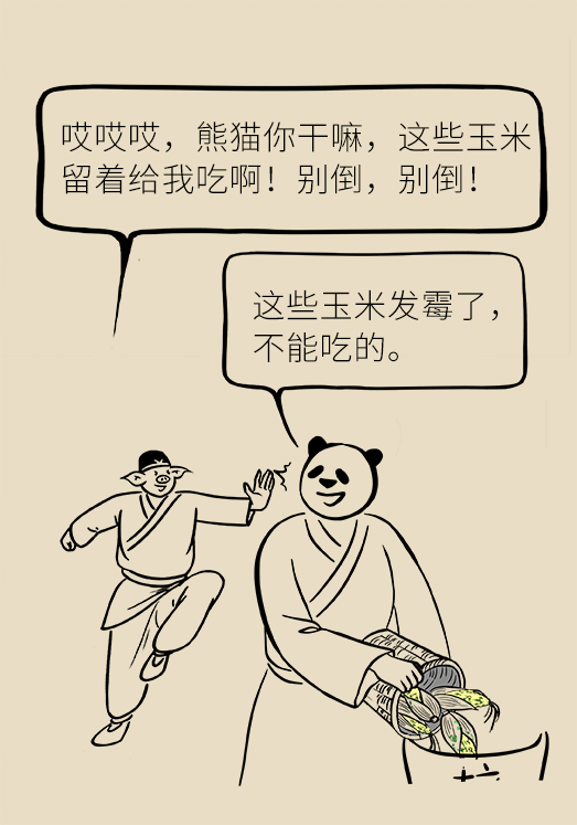 發(fā)霉食物不能吃安全糧油怎么選？