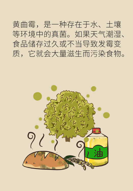 發(fā)霉食物不能吃安全糧油怎么選？