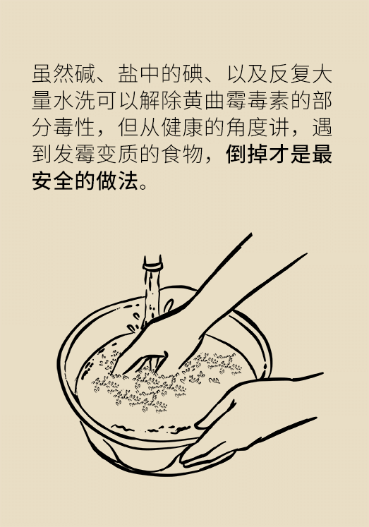 發(fā)霉食物不能吃安全糧油怎么選？