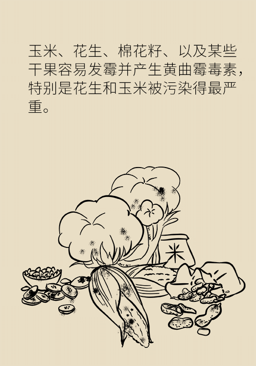 發(fā)霉食物不能吃安全糧油怎么選？
