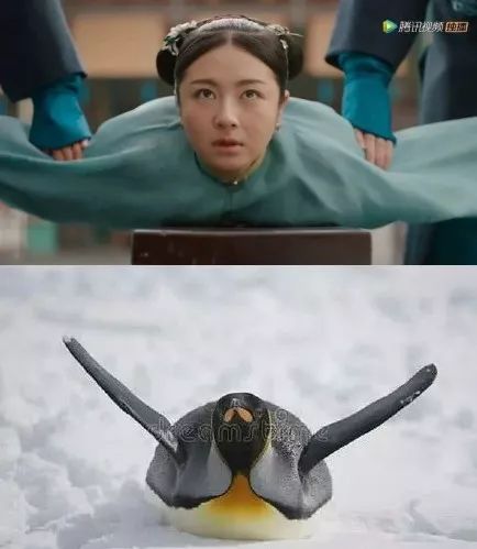 都2020年了，這種辣眼劇怎么還沒(méi)滅絕 