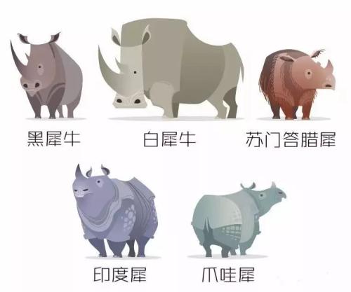 滅絕的不只長江白鱘，在中國，這些物種也已消失…… 