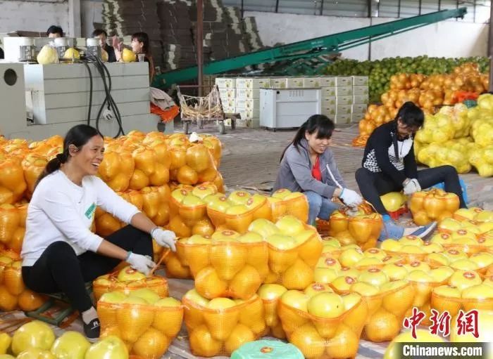春節(jié)豬肉、蔬菜、水果會集體漲價？農(nóng)業(yè)農(nóng)村部回應(yīng)