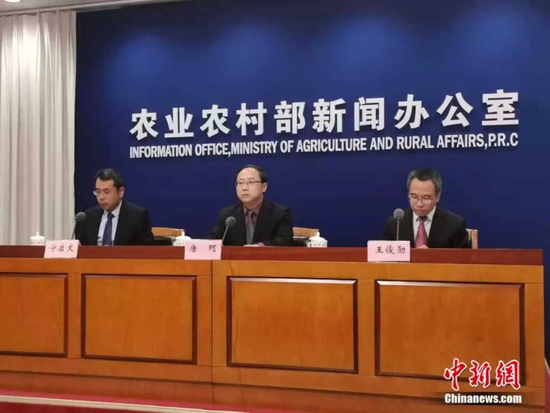 春節(jié)豬肉、蔬菜、水果會集體漲價？農(nóng)業(yè)農(nóng)村部回應(yīng)