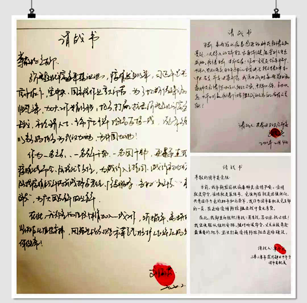 黨有號召，團(tuán)有行動 團(tuán)市委機(jī)關(guān)黨員走上防疫第一線