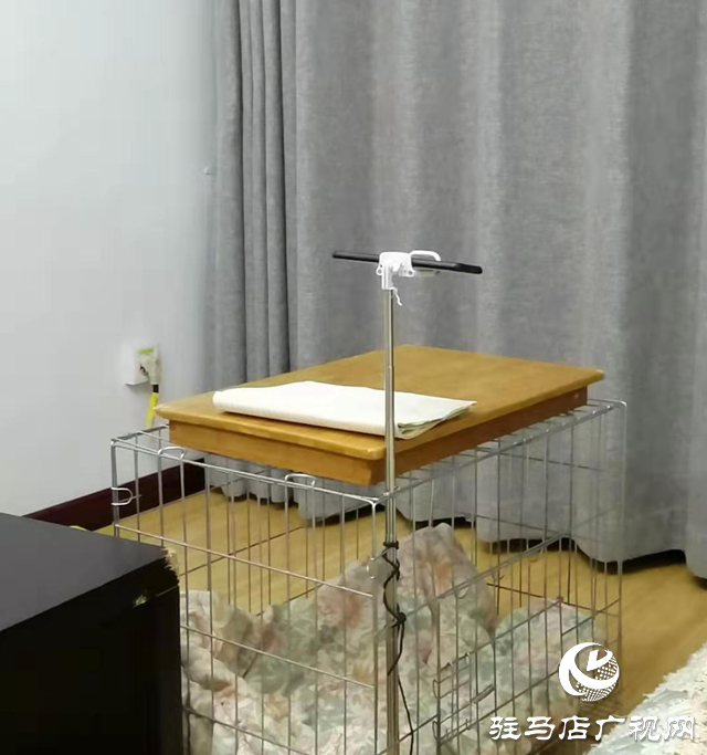 快來圍觀！駐馬店市第九中學(xué)老師們的奇思妙想層出不窮