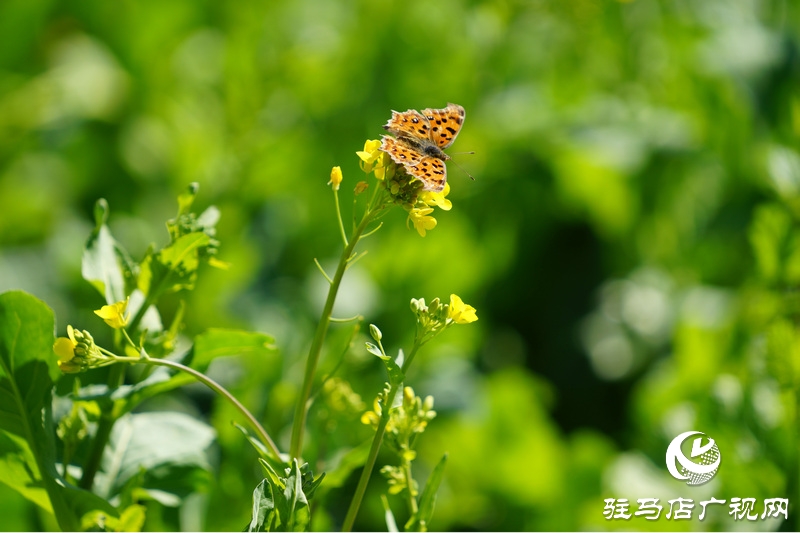 我們堅(jiān)守，為了早日重逢