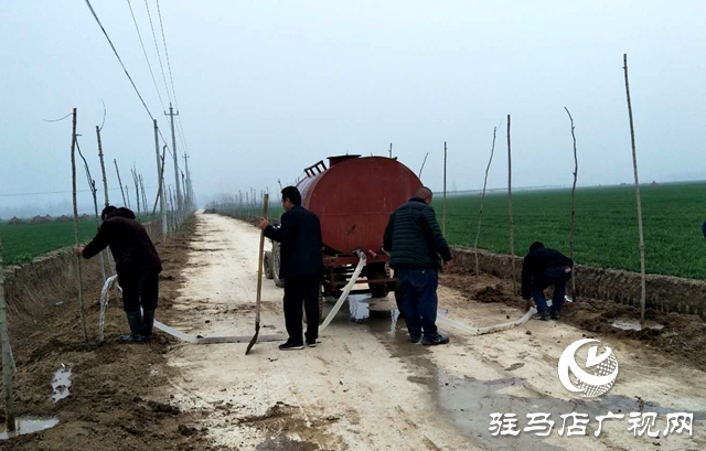 上蔡縣和店鎮(zhèn)加速推進國土綠化