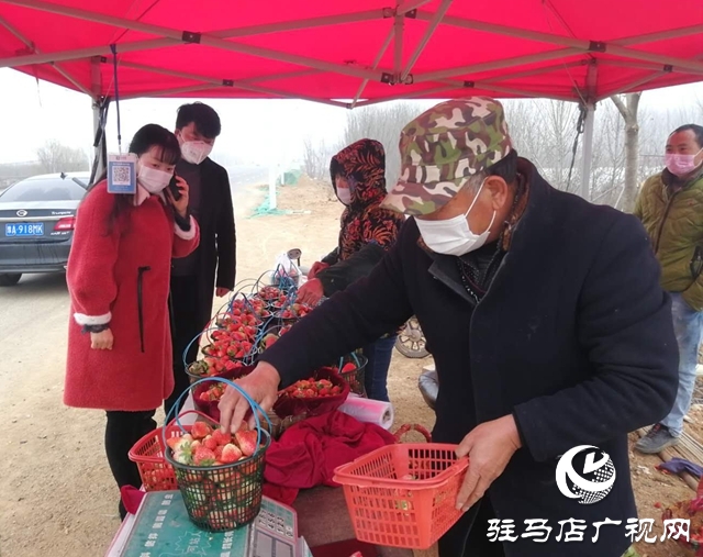 上蔡縣蔡埠口村：提升果品質(zhì)量 服務(wù)農(nóng)戶(hù)銷(xiāo)售