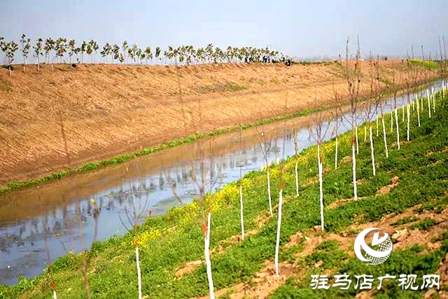 上蔡縣召開去冬今春國土綠化觀摩評(píng)比會(huì)