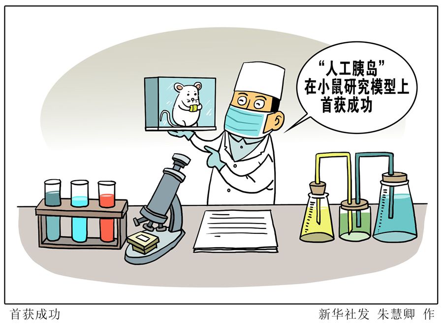 “人工胰島”是否可行？科學(xué)家在小鼠研究模型上首獲成功