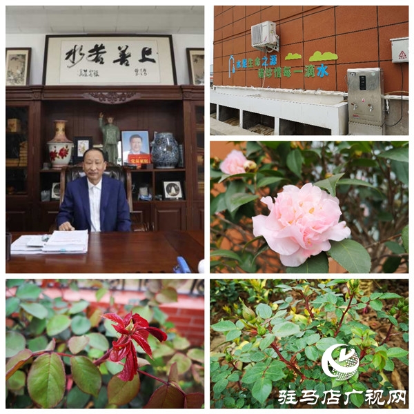 駐馬店大海商砼花園工廠——既要金山銀山，又要綠水青山