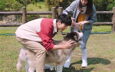 寵物演員參演劇集，絕不是走過(guò)場(chǎng) 