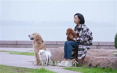 寵物演員參演劇集，絕不是走過(guò)場(chǎng) 