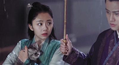 寵物演員參演劇集，絕不是走過(guò)場(chǎng) 