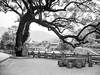 文學(xué)家馮夢龍的為官生涯