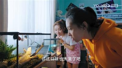 寵物演員參演劇集，絕不是走過(guò)場(chǎng) 