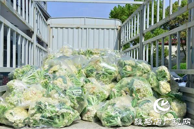 上蔡縣：文明單位伸援手，以購代捐解民憂