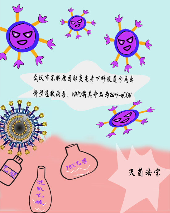 冠狀病毒族譜曝光專家?guī)阏覝?zhǔn)防控要點(diǎn)