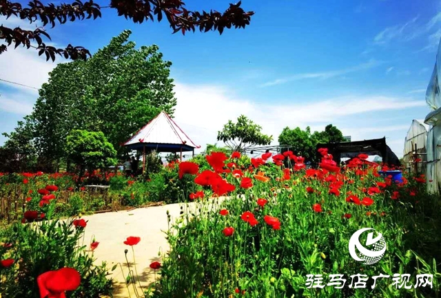 余長(zhǎng)旺：下崗再創(chuàng)業(yè)，成就人生夢(mèng)