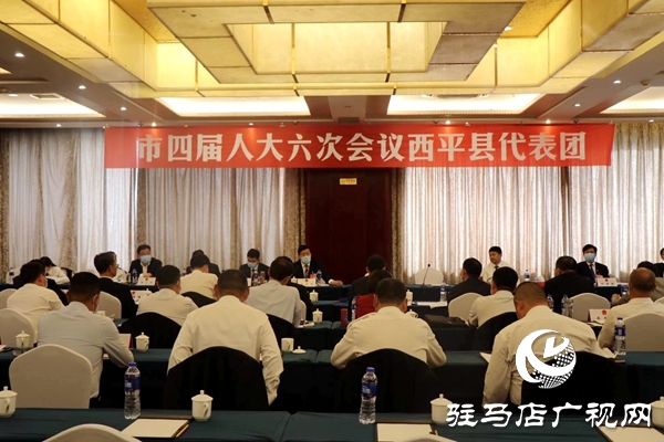 人大代表：履職盡責(zé)，認真行使人民當(dāng)家做主的權(quán)利