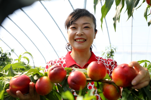 黨員為農(nóng)產(chǎn)品代言，政協(xié)助力脫貧攻堅(jiān)
