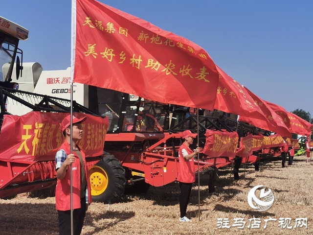 天福、新地花生集團(tuán)助農(nóng)收麥忙 三夏時(shí)節(jié)確保顆粒歸倉(cāng)