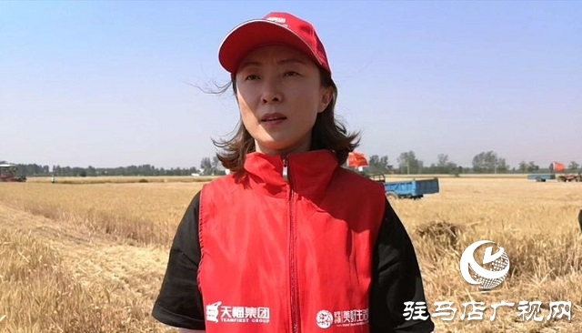 天福、新地花生集團(tuán)助農(nóng)收麥忙 三夏時(shí)節(jié)確保顆粒歸倉(cāng)