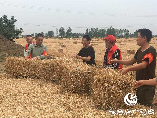 正陽縣蘭青鄉(xiāng)：禁燒“戰(zhàn)場”，黨員在前